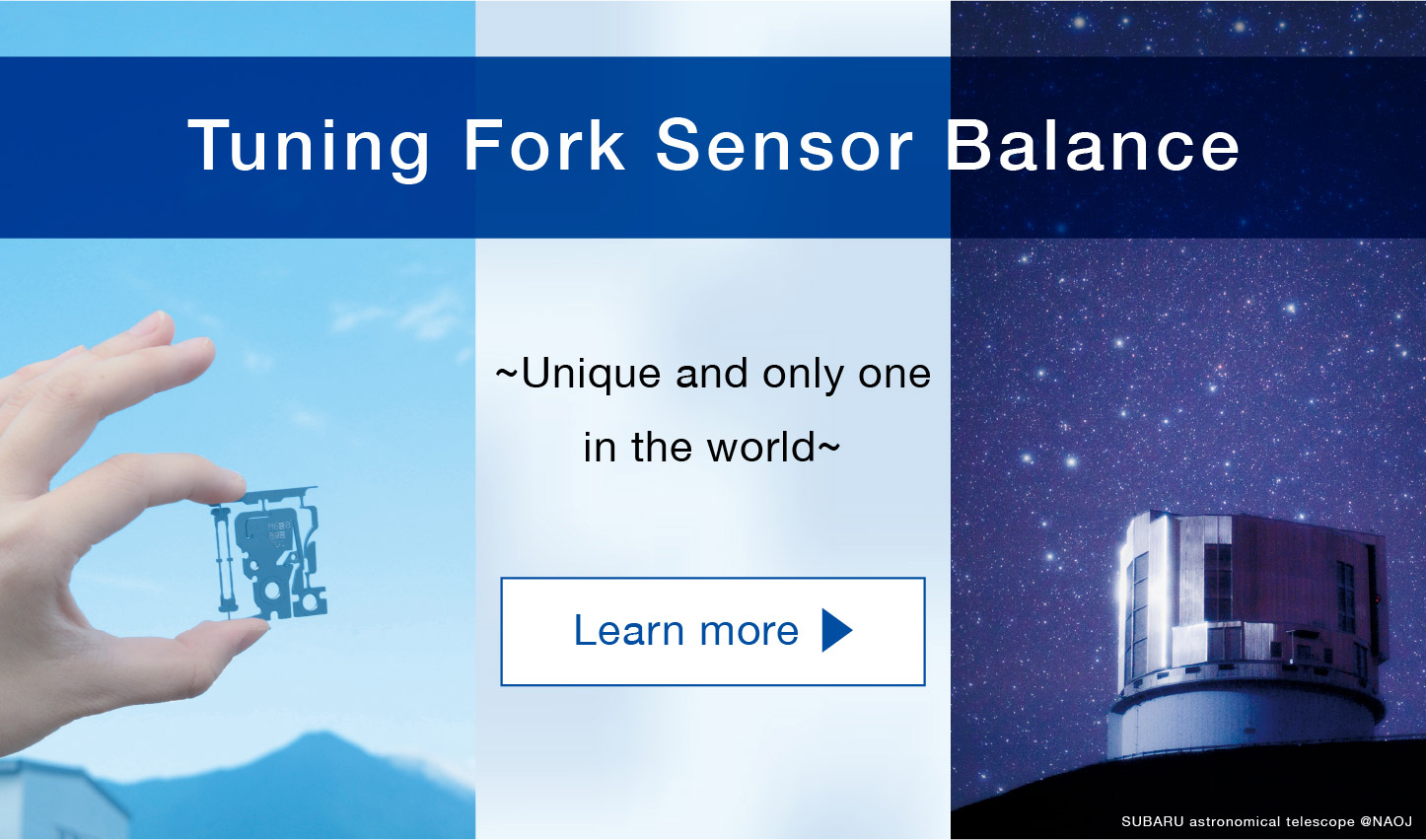 Tuning Fork Sensor Balance