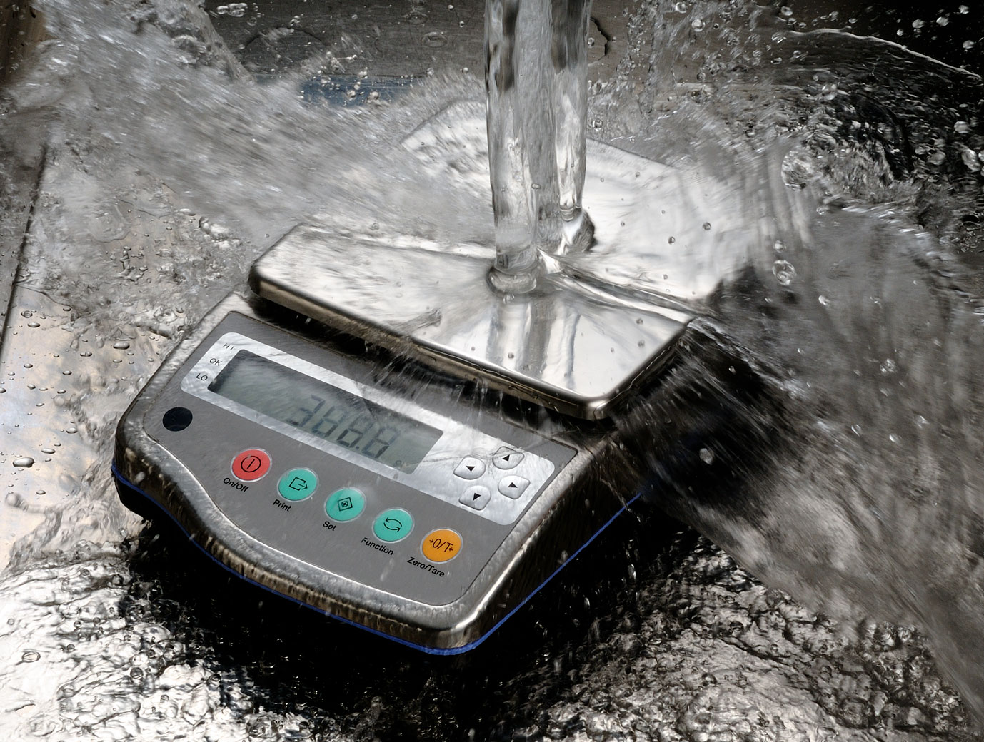 Heavy duty precision balance with water and dust proof feature